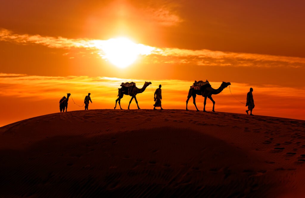3 Day Desert Excursion to Zagora