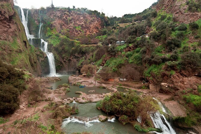 Monkey encounter during Best Ouzoud Waterfalls Day Trip